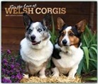 Not Available (NA) - For the Love of Welsh Corgis 2019 Calendar