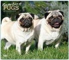 Not Available (NA) - For the Love of Pugs 2019 Calendar