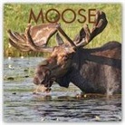 Not Available (NA) - Moose 2019 Calendar