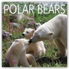 Not Available (NA) - Polar Bears 2019 Calendar