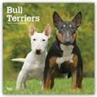 Not Available (NA) - Bull Terriers 2019 Calendar