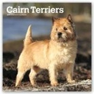 Not Available (NA) - Cairn Terriers 2019 Calendar