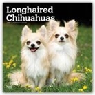 Not Available (NA) - Longhaired Chihuahuas 2019 Calendar