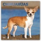 Inc Browntrout Publishers, Not Available (NA) - Chihuahuas 2019 Calendar