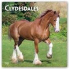 Inc Browntrout Publishers, Not Available (NA) - Clydesdales 2019 Calendar