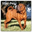 Not Available (NA) - Shar Pei 2019 Calendar