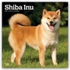 Not Available (NA) - Shiba Inu 2019 Calendar