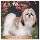 Inc Browntrout Publishers, Not Available (NA) - Shih Tzu 2019 Calendar