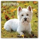Inc Browntrout Publishers, Not Available (NA) - West Highland White Terriers 2019 Calendar