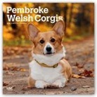 Not Available (NA) - Pembroke Welsh Corgis 2019 Calendar