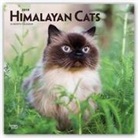 Inc Browntrout Publishers, Not Available (NA) - Himalayan Cats 2019 Calendar