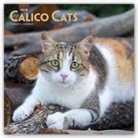 Not Available (NA) - Calico Cats 2019 Calendar