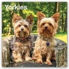 Not Available (NA) - Yorkshire Terriers 2019 Calendar