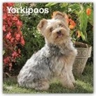 Not Available (NA) - Yorkipoos 2019 Calendar