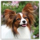 Not Available (NA) - Papillons 2019 Calendar
