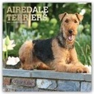 Inc Browntrout Publishers, Not Available (NA) - Airedale Terriers 2019 Calendar