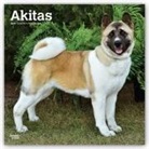 Not Available (NA) - Akitas 2019 Calendar