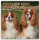 Not Available (NA) - Cavalier King Charles Spaniels 2019 Calendar