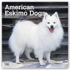Not Available (NA) - American Eskimo Dogs 2019 Calendar