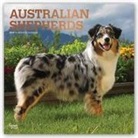 Not Available (NA) - Australian Shepherds 2019 Calendar