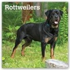 Inc Browntrout Publishers, Not Available (NA) - Rottweilers 2019 Calendar
