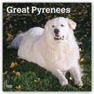 Not Available (NA) - Great Pyrenees 2019 Calendar