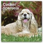 Not Available (NA) - Cocker Spaniels 2019 Calendar