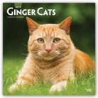Inc Browntrout Publishers, Not Available (NA) - Ginger Cats 2019 Calendar