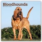 Not Available (NA) - Bloodhounds 2019 Calendar