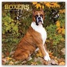 Inc Browntrout Publishers, Not Available (NA) - Boxers 2019 Calendar