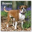 Not Available (NA) - Boxers 2019 Calendar