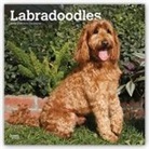 Not Available (NA) - Labradoodles 2019 Calendar