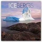 Not Available (NA) - Icebergs 2019 Calendar