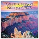 Not Available (NA) - Grand Canyon National Park 2019 Calendar
