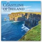 Not Available (NA) - Coastline of Ireland 2019 Calendar