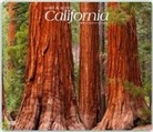 Inc Browntrout Publishers, Not Available (NA) - California, Wild & Scenic 2019 Calendar