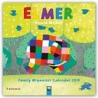 David McKee, Tree Flame - Elmer Family Organiser Wall Calendar 2019 (Art Calendar)