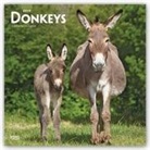 Inc Browntrout Publishers, Not Available (NA) - Donkeys 2019 Calendar