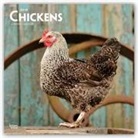 Inc Browntrout Publishers, Not Available (NA) - Chickens 2019 Calendar