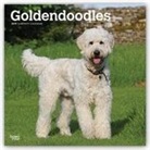 Not Available (NA) - Goldendoodles 2019 Calendar