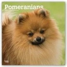 Inc Browntrout Publishers, Not Available (NA) - Pomeranians 2019 Calendar