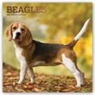 Not Available (NA) - Beagles 2019 Calendar