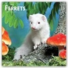 Not Available (NA) - Ferrets 2019 Calendar