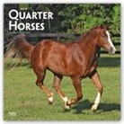 Not Available (NA) - Quarter Horses 2019 Calendar