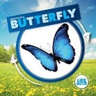 Kirsty Holmes - Life Cycle of a Butterfly