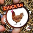 Kirsty Holmes - Life Cycle of a Chicken