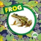 Kirsty Holmes - Life Cycle of a Frog