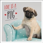 Charlie Ellis, Ellis Charlie, Charlie Ellis. - Love is a Pug