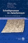 Jennifer Clare, Susann Knaller, Susanne Knaller, Rita Rieger, Rita Rieger u a, Renate Stauf... - Schreibprozesse im Zwischenraum
