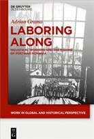 Adrian Grama - Laboring Along